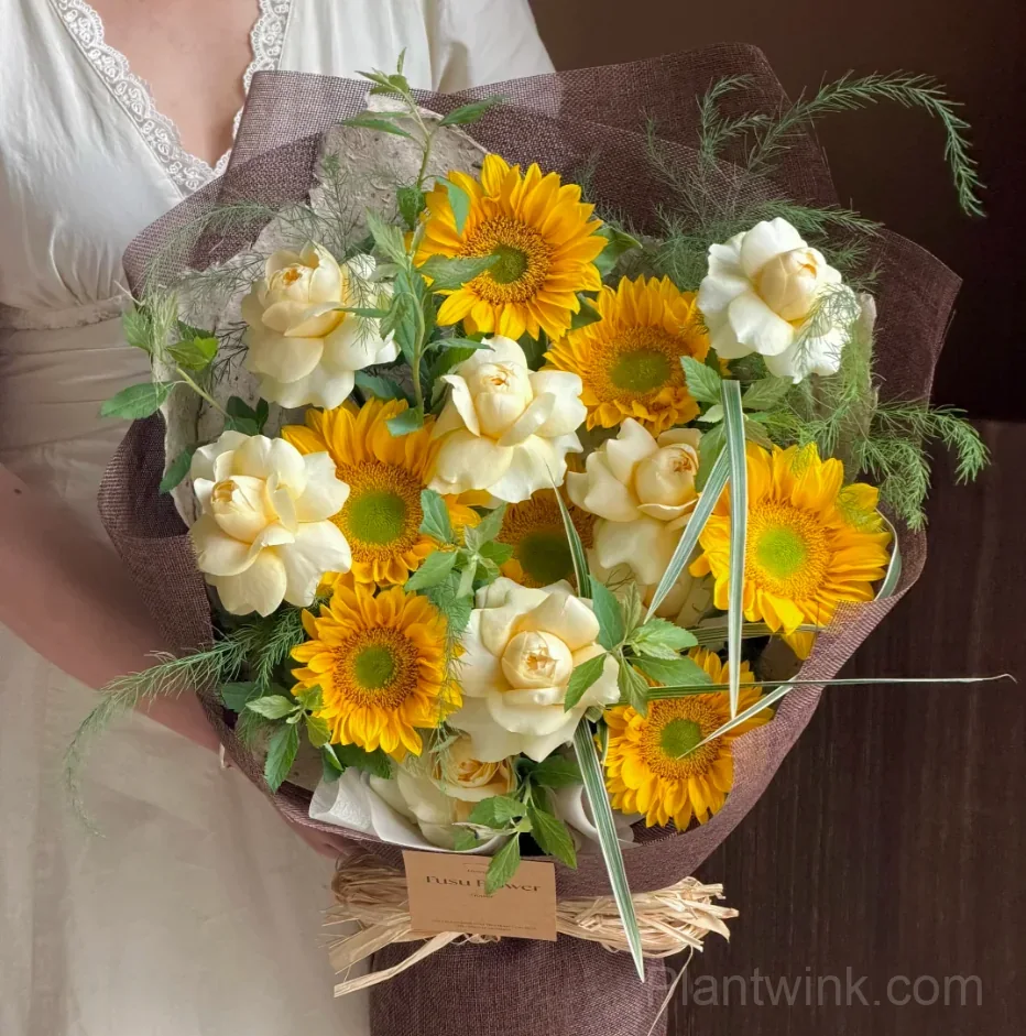 Green Center Sunflower Seeds – Unique Yellow Blooms, Easy to Grow & High Germination - View 4