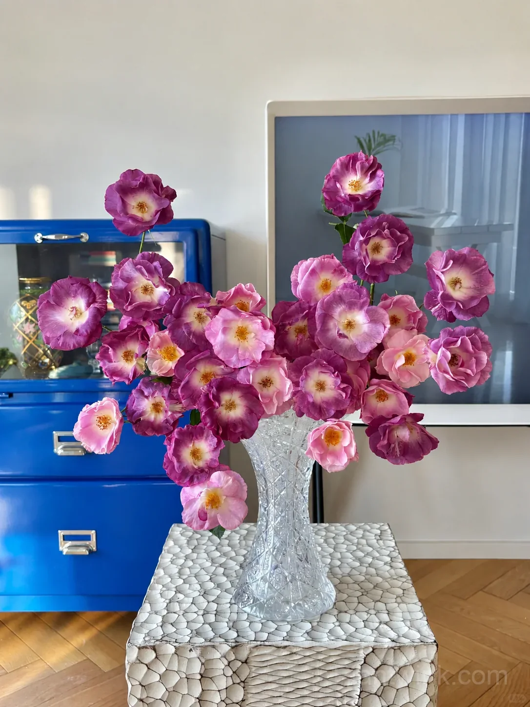 Blue Dream Rose Seeds – Beautiful Blue-Purple Blooms, Easy to Grow & Unique - View 3