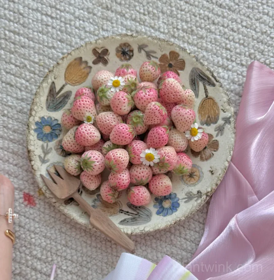 Mini Fenyu Pink Strawberry Seeds – Sweet Pink Strawberries for Home Garden & Easy Growing - View 3