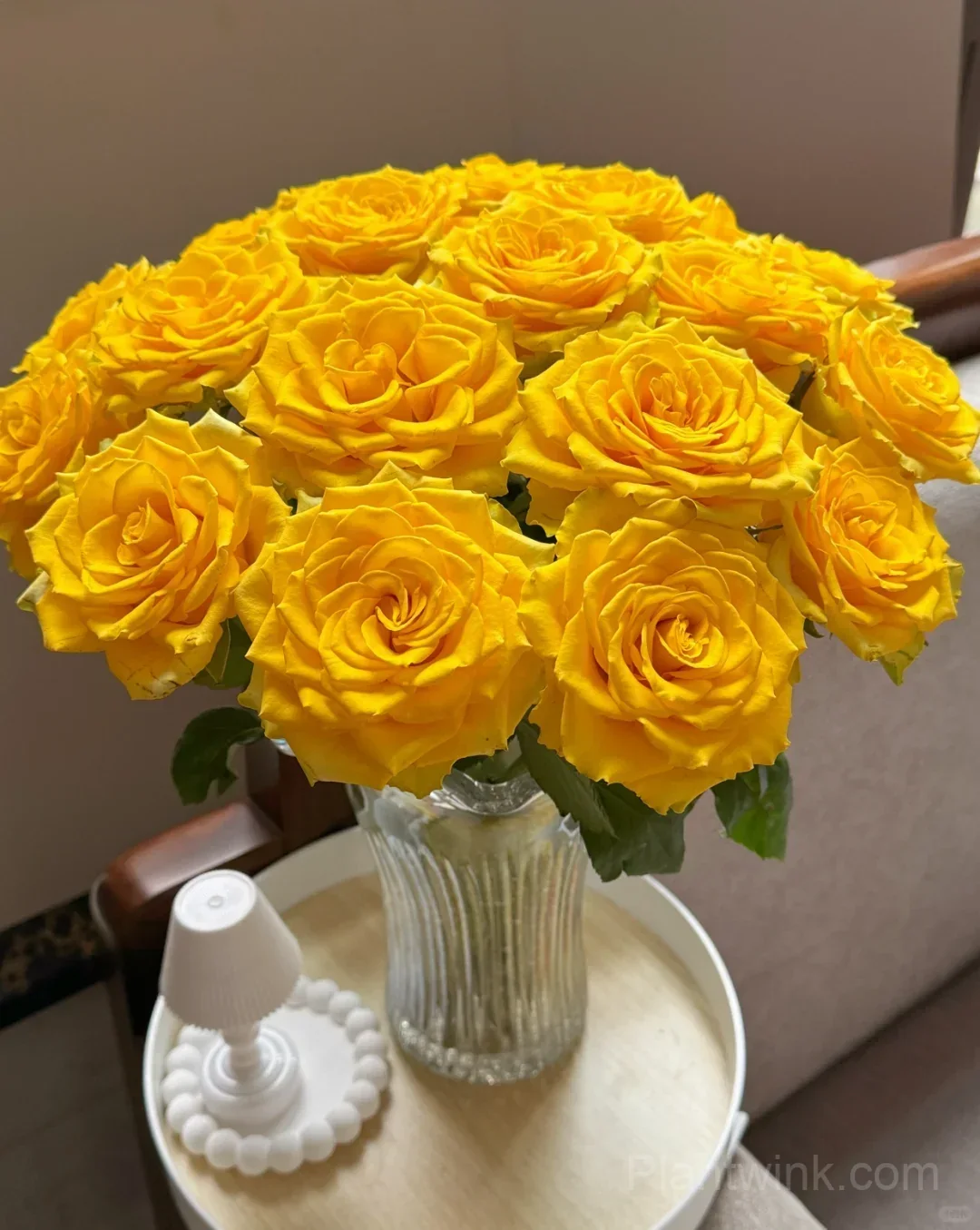 Gold Fury Rose Seeds - Bright Golden Yellow Floribunda Cut Flower, Disease Resistant Garden Plant - View 2