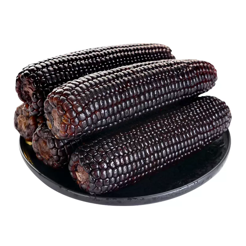 Black Corn Seed - View 4