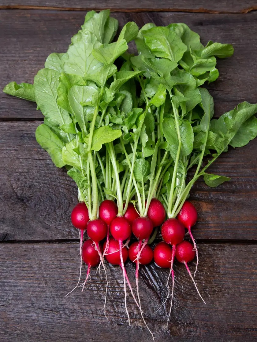 Cherry Belle Radish Seed - Main