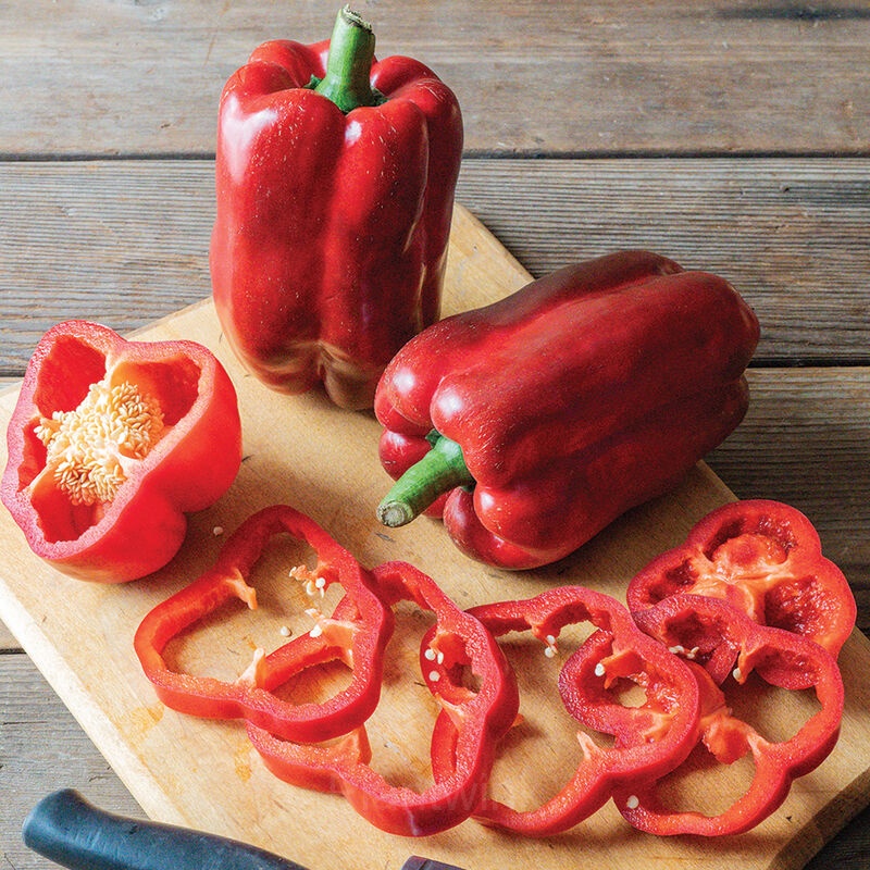 Sweet Pepper Seed - View 6