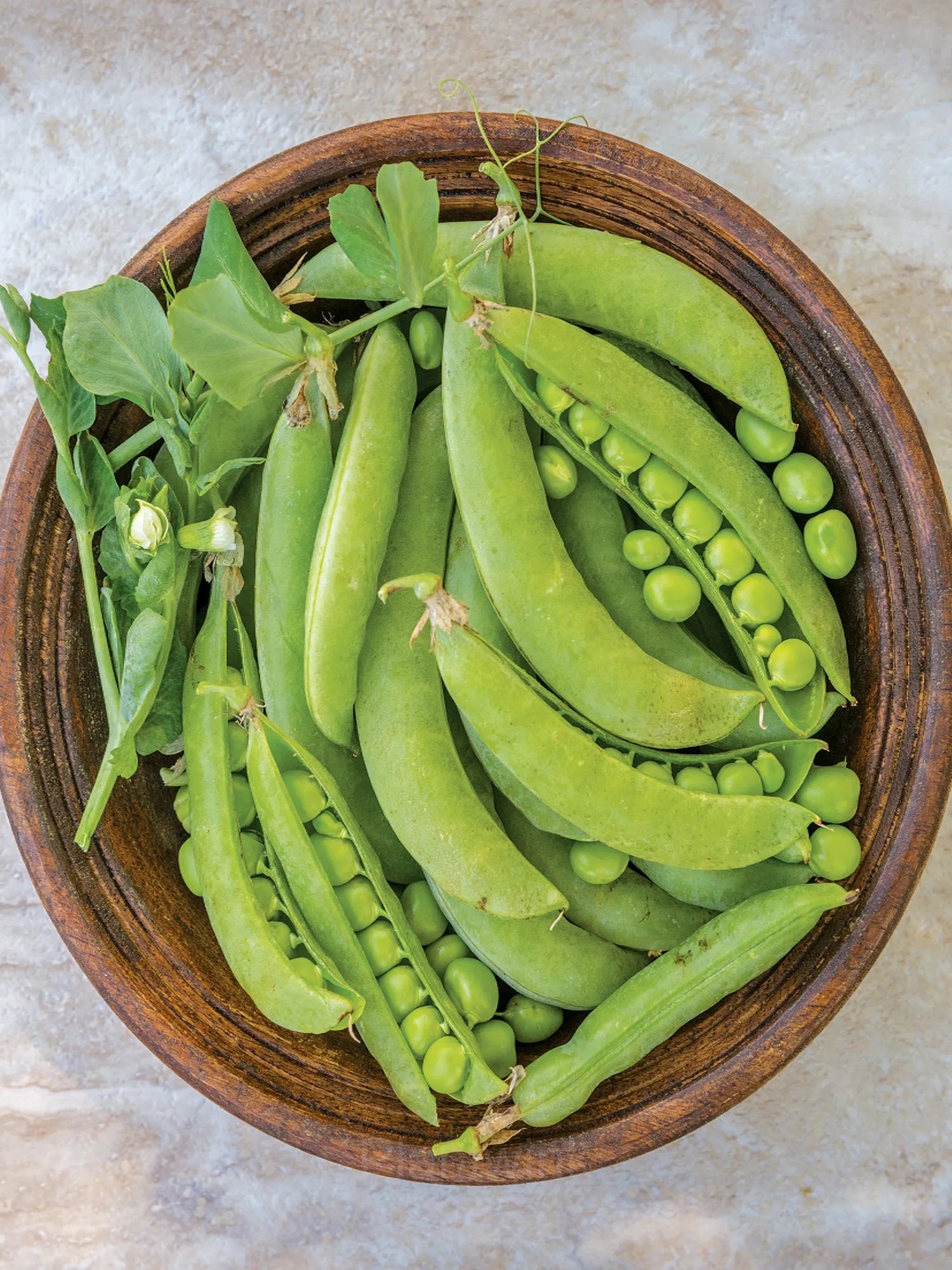 Pea-Licious Shell Pea - Main