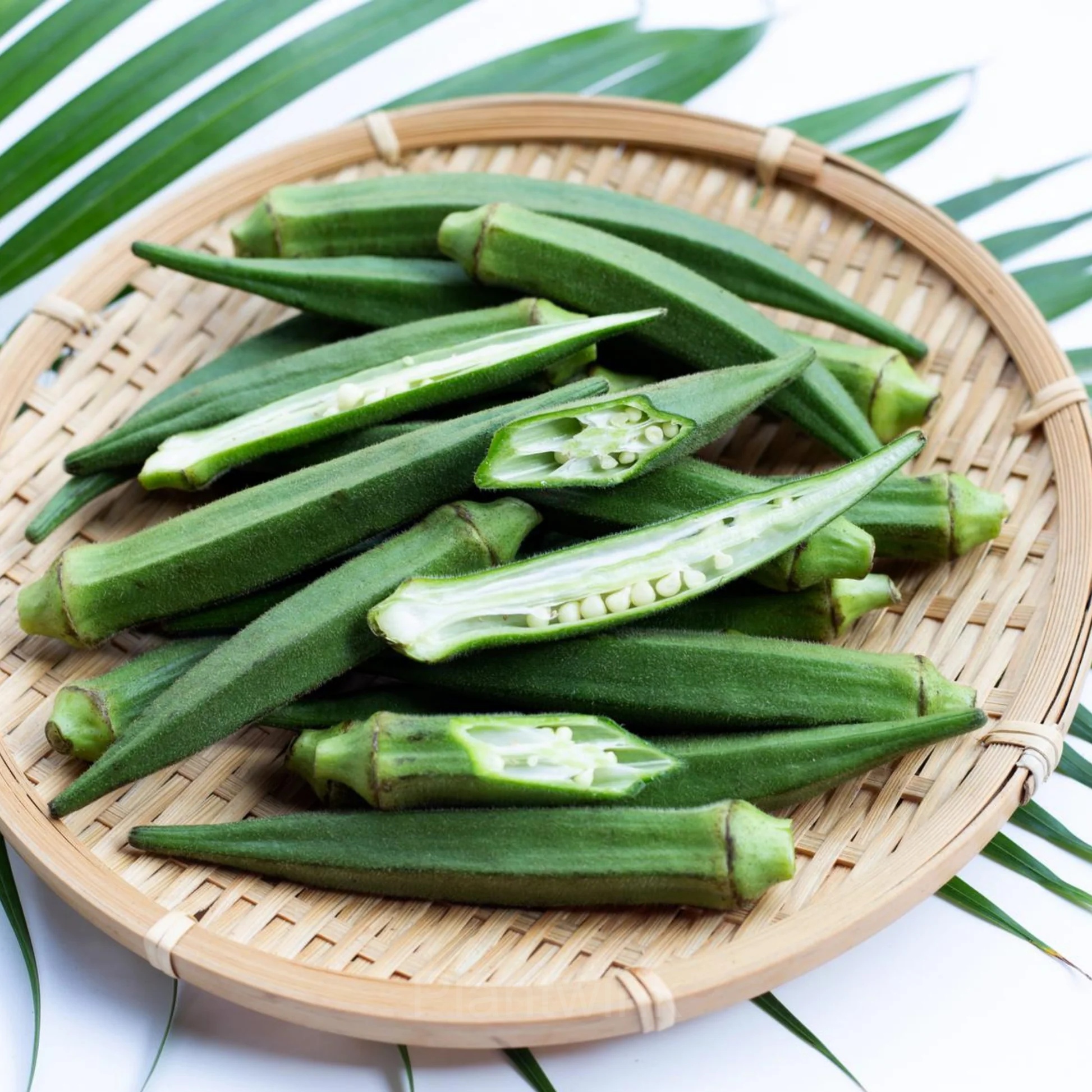 Okra Seed - View 4