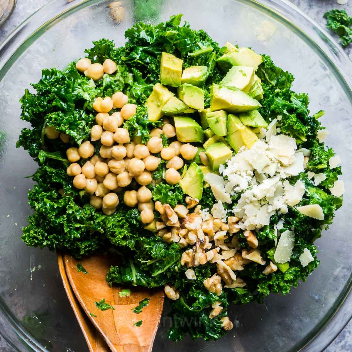 Kale Seed - Main