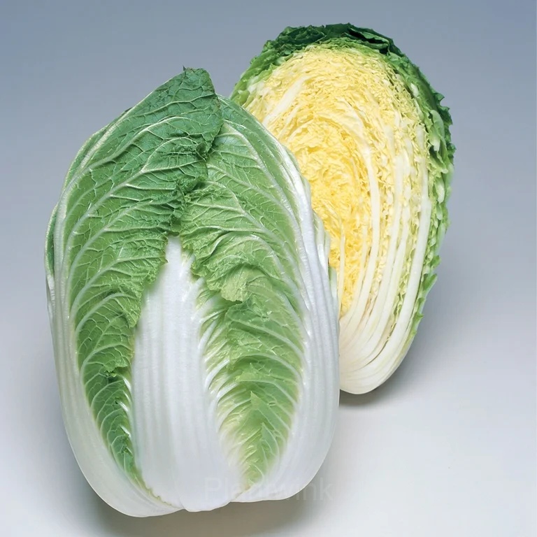 Chinese Cabbage Seed - View 3
