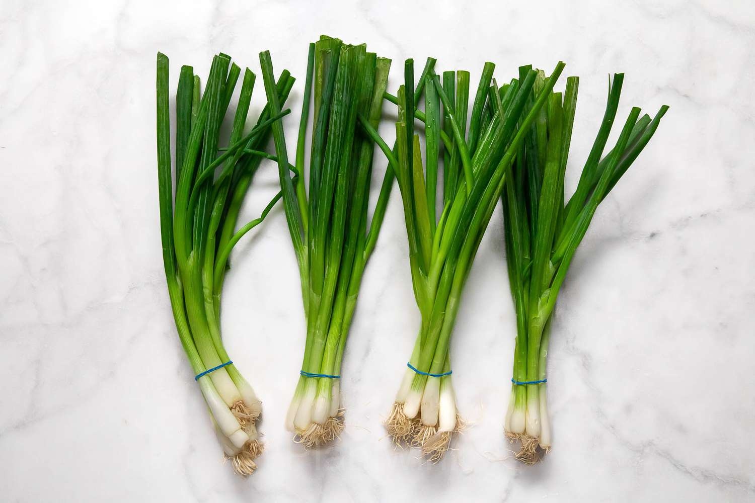 Green Onion Seed - Main