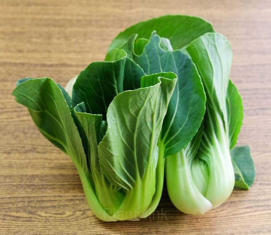 Toy Choy Bok Choi Seeds - Main