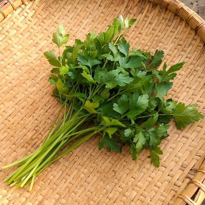 Leaf Parsley Seed - View 4