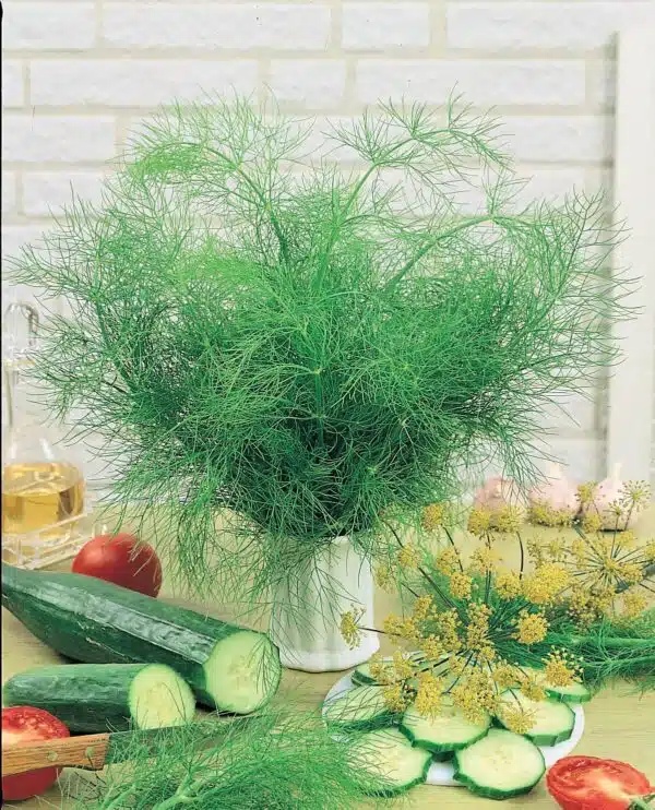 Dill Seed - Alt