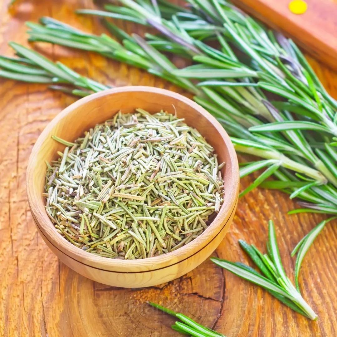 Rosemary Seed - Main