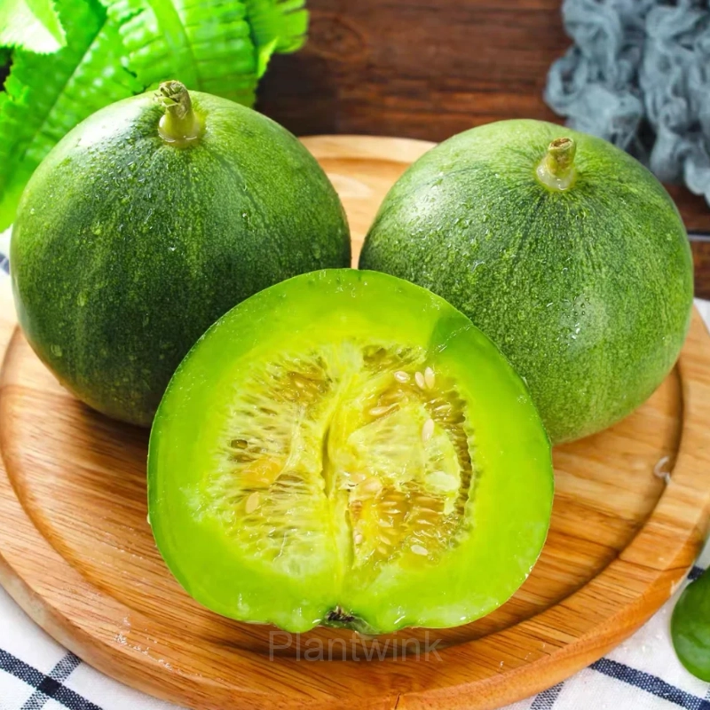 Emerald No. 2 Sweet Melon - Main