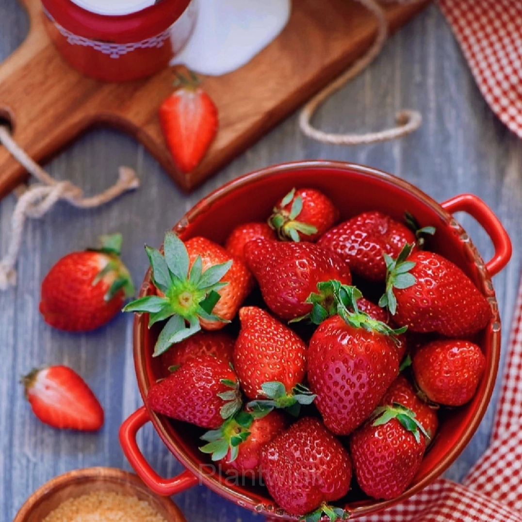 Four Seasons Cream Strawberry Seeds—Year-Round Harvest - Alt