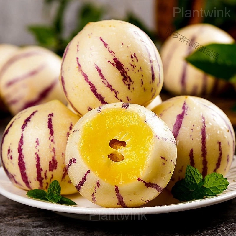 Ginseng Fruit Seeds - Main