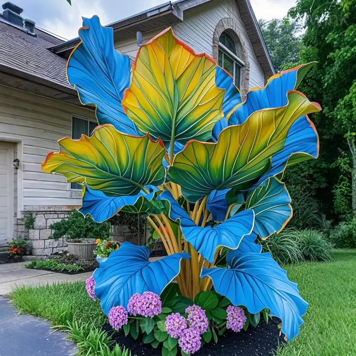 Tropical Caladium Bulbs - View 7